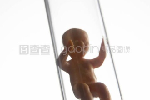 http://huizhou.nbgk120.com/post/209.html|惠州捐卵费用