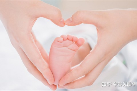 夏天惠州捐卵宝宝发烧 莫要急
