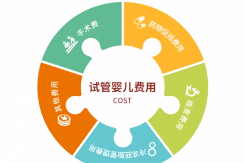 惠州捐卵宝宝肚痛，父母该怎么办？